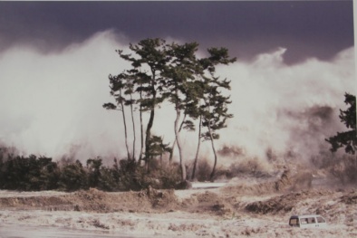 Fukushima – sức sống kỳ diệu